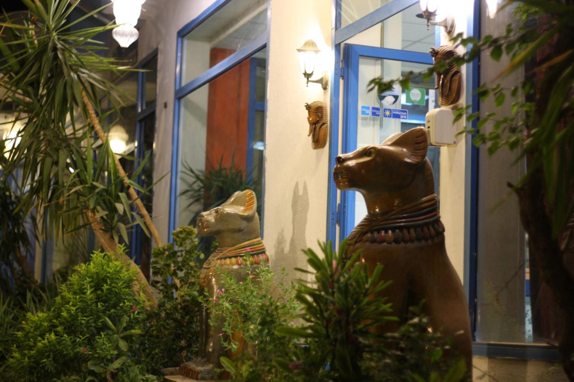 El Gezira Garden Hotel Luxor Ngoại thất bức ảnh