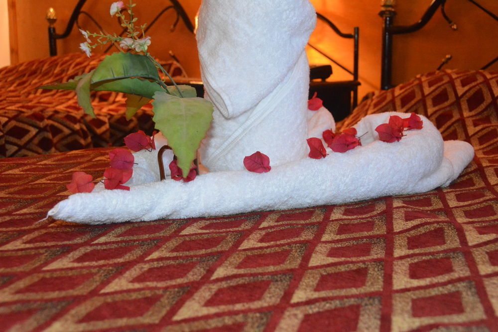 El Gezira Garden Hotel Luxor Ngoại thất bức ảnh